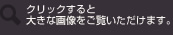 クリックすると大きな画像をご覧いただけます。